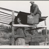 Dispossessed Arkansas farmers. These people are resettling themselves on the dump outside of Bakersfield, California