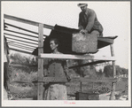 Dispossessed Arkansas farmers. These people are resettling themselves on the dump outside of Bakersfield, California