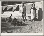 Rehabilitation clients. Five miles outside Phoenix, Arizona. Five hundred dollar loan for poultry (considered a good loan)