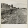 "The trek of bums, tramps, single transients and undesirable indigents out of Los Angeles County because of police activity." California