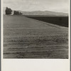 Freshly-plowed sugar beet field near King City. Shows large scale of farm operations in California