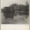 Migrant camp, California
