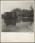 Migrant camp, California