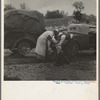 Migrant pea pickers on the road. California