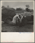 Migrant pea pickers on the road. California