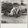 Migrant pea pickers on the road. California