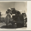 "Blue Monday" in a California migratory camp