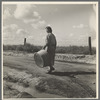 In a migratory labor camp. California