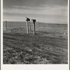 The rolling lands used for grazing near Mills, New Mexico
