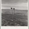 The rolling lands used for grazing near Mills, New Mexico