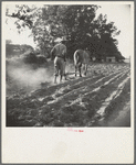 Plowboy in Alabama earns seventy-five cents daily
