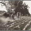 Plowboy in Alabama earns seventy-five cents daily