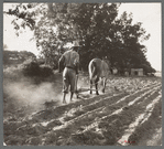 Plowboy in Alabama earns seventy-five cents daily