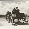 Transportation in the South. Mississippi