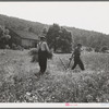Men cradling wheat in eastern Virginia near Sperryville