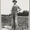 One of the evicted sharecroppers from Arkansas now settled at Hill House, Mississippi