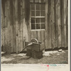 Side of a cotton cabin in Georgia