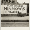"Coon dawgling." Memphis, Tennessee