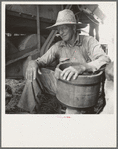 American farmer near Durham, North Carolina