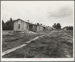 A view of the Hill House community. Cabins of the white settlers. Miss. 1936