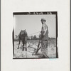 White tenant farmer works on shares. North Carolina