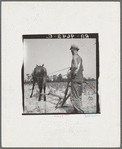 White tenant farmer works on shares. North Carolina