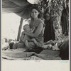 Drought refugees from Oklahoma camping by the roadside. They hope to work in the cotton fields ...