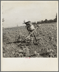 Child of impoverished Negro tenant family working on farm. Alabama