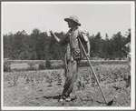 Alabama tenant farmer near Anniston, Alabama