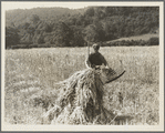 Cradling wheat near Sperryville, Va. A hand binder follows the mower. 1936