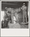 North Carolina threshing
