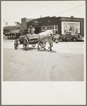 A note on transportation. Eden, Alabama