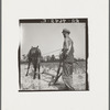 White tenant farmer works on shares. North Carolina