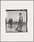 White tenant farmer works on shares. North Carolina