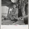 Drought refugees from Oklahoma camping by the roadside. They hope to work in the cotton fields ...