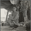 Drought refugees from Oklahoma camping by the roadside. They hope to work in the cotton fields ...