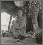 Drought refugees from Oklahoma camping by the roadside. They hope to work in the cotton fields ...