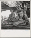Drought refugees from Oklahoma camping by the roadside. They hope to work in the cotton fields. There are seven in family. Blythe, California