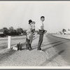 Example of self-resettlement in California. Oklahoma farm family on highway between Blythe and Indio. Forced by the drought of 1936 to abandon their farm, they set out with their children to drive to California ...