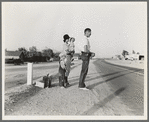 Example of self-resettlement in California. Oklahoma farm family on highway between Blythe and Indio. Forced by the drought of 1936 to abandon their farm, they set out with their children to drive to California ...