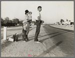 Example of self-resettlement in California. Oklahoma farm family on highway between Blythe and Indio. Forced by the drought of 1936 to abandon their farm, they set out with their children to drive to California ...