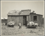 People living in miserable poverty. Elm Grove, Oklahoma County, Oklahoma