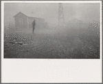 Dust storm. It was conditions of this sort which forced many farmers to abandon the area. Spring 1935. New Mexico