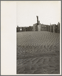 A corral practically buried by drifted dust. Mills, New Mexico. Therefore, the fertile top soil of a grazing area cannot be utilized