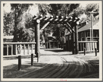 Entrance to Marysville camp for migrants. Marysville, California
