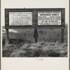 Employment signs in Spanish and English. These ranches (1938) increasingly use Negro pickers. Near Fresno, California