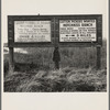 Employment signs in Spanish and English. These ranches (1938) increasingly use Negro pickers. Near Fresno, California
