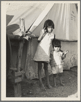 Migrant Mexican children in contractor's camp at time of early pea harvest. Nipomo, California