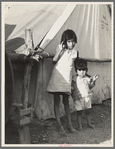Migrant Mexican children in contractor's camp at time of early pea harvest. Nipomo, California