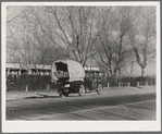 Texans earning their way westward, bound for a new start in Oregon. United States No. 99, California